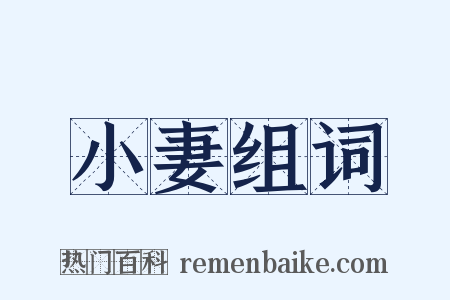 小妻组词是什么意思的图片